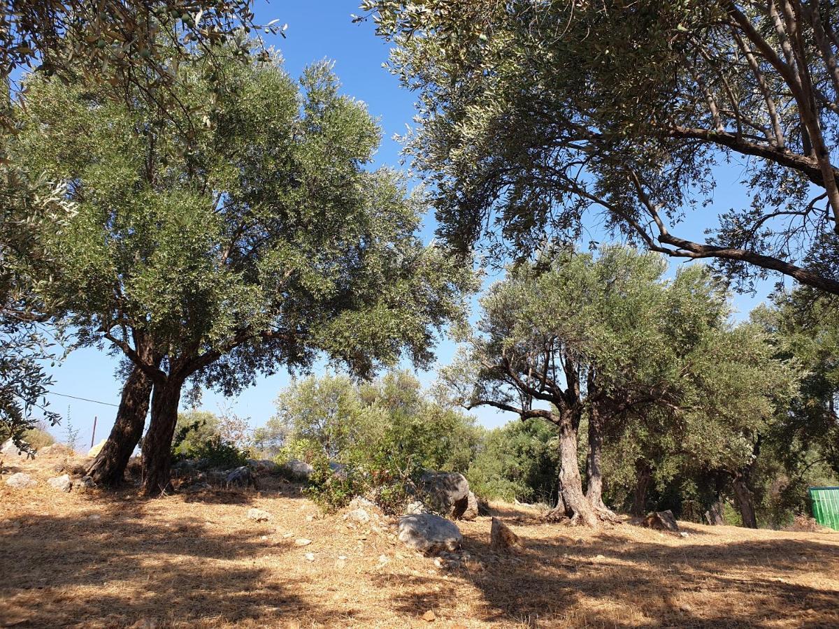 Patara Caretta Hotel Εξωτερικό φωτογραφία