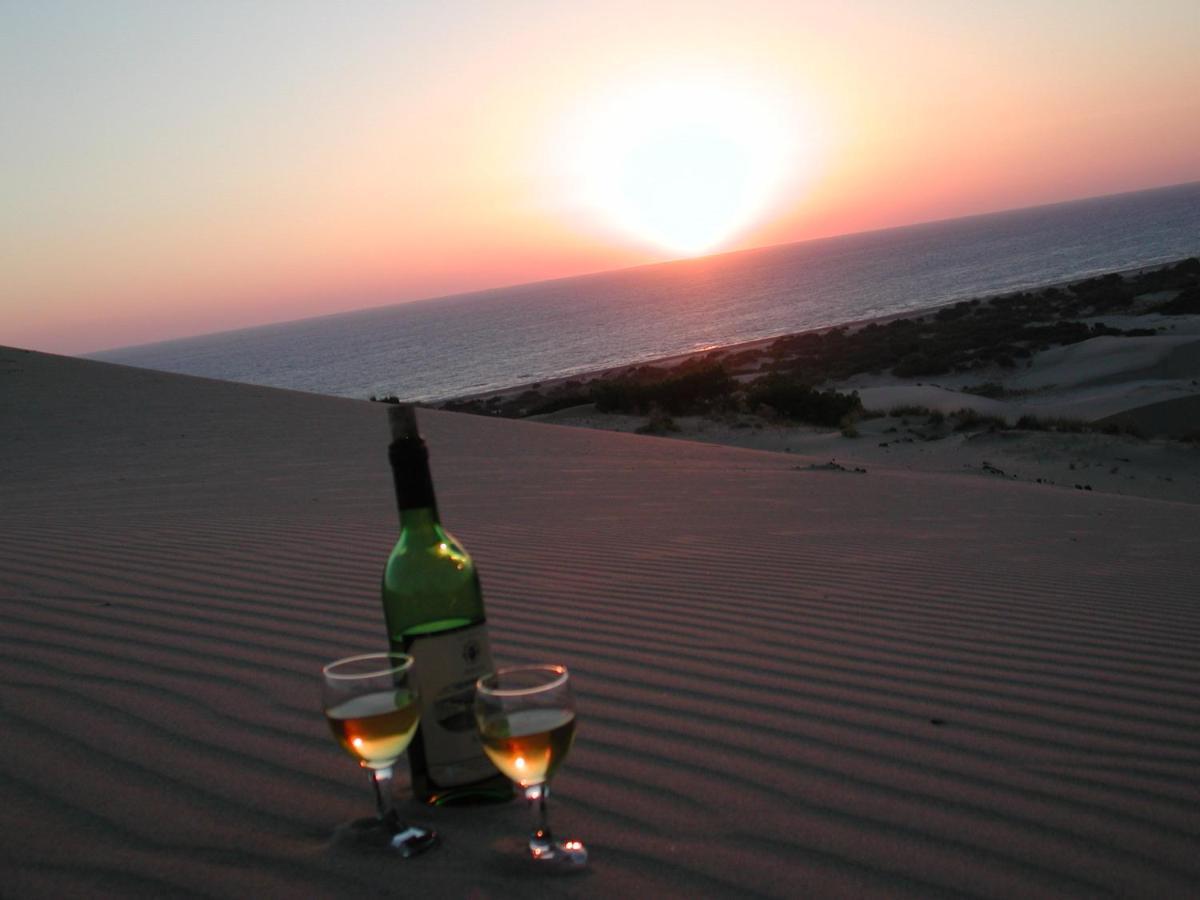 Patara Caretta Hotel Εξωτερικό φωτογραφία