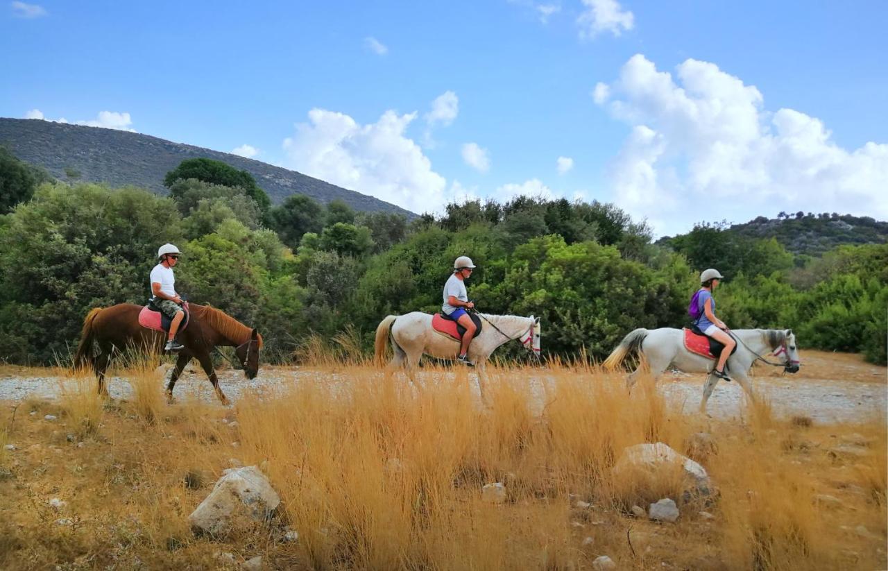 Patara Caretta Hotel Εξωτερικό φωτογραφία