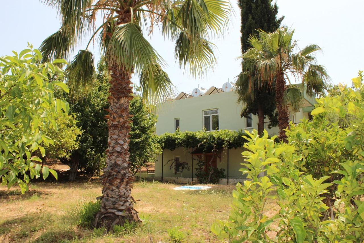 Patara Caretta Hotel Εξωτερικό φωτογραφία