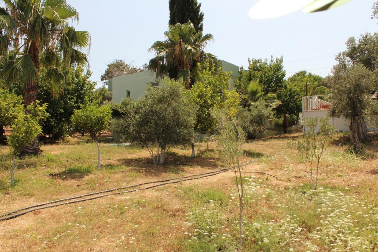 Patara Caretta Hotel Εξωτερικό φωτογραφία