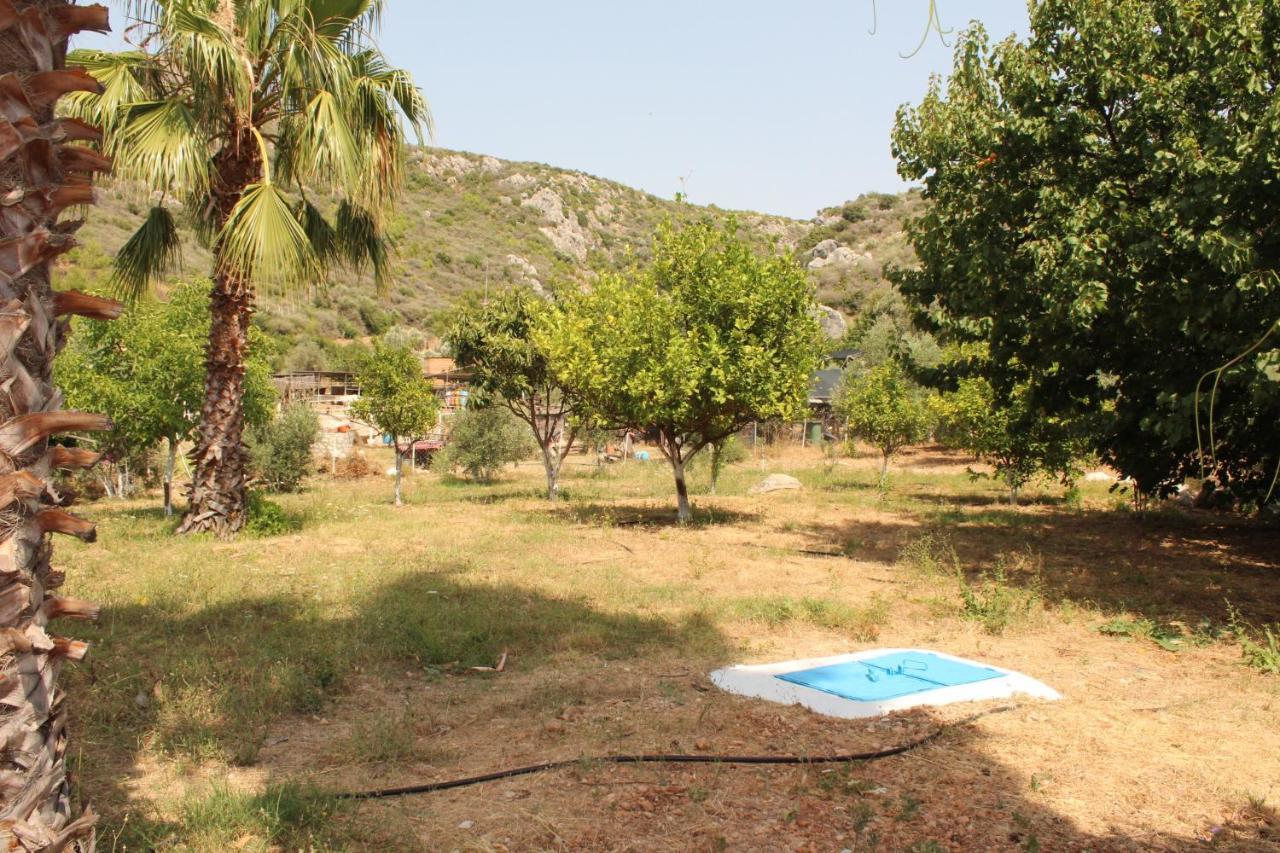 Patara Caretta Hotel Εξωτερικό φωτογραφία